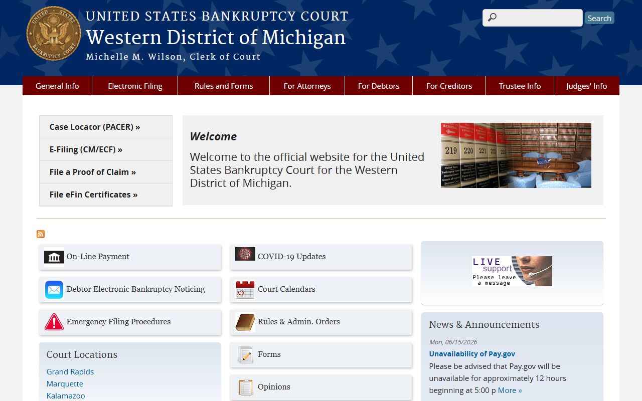 Otsego County traffic court records and the Western District of Michigan federal court